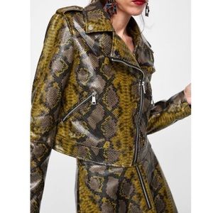 zara snake print suit